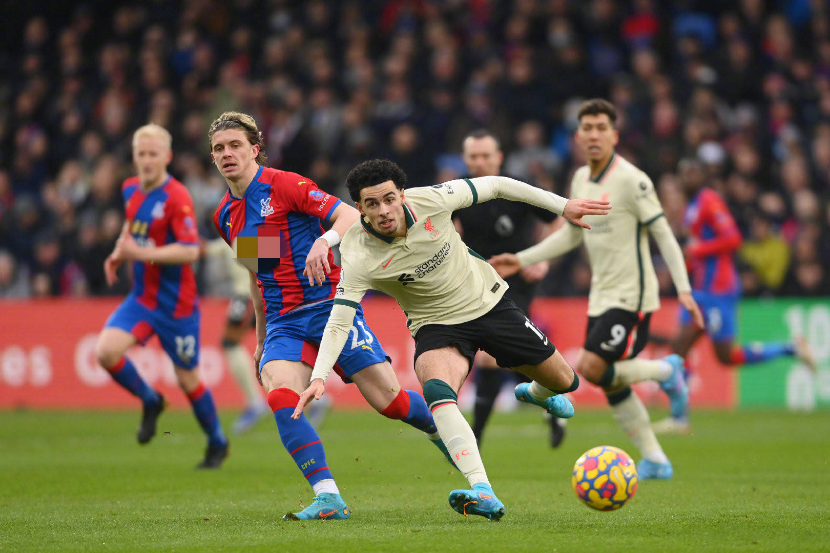 与本泽马续 与本泽马续